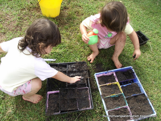 toddler vegetable seed planting