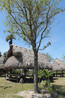 Chikees o casas tradicionales Jefferson Aleman