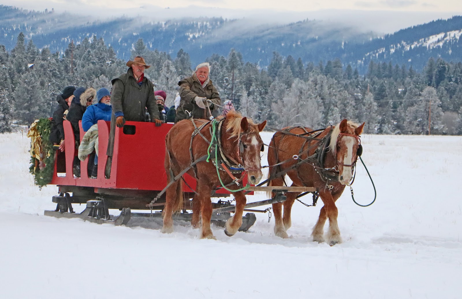 Stueby S Outdoor Journal Book An Idaho Sleigh Ride For Family Fun