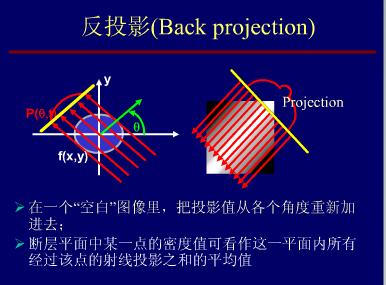 Flexin': Image Reconstruction:Back projection