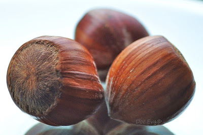Haselnuss (Corylus avellana)