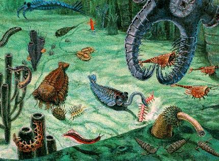 Período Cambriano (570 Milhões de anos) Período Cambriano (570 Milhões de anos)