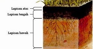 Jenis Tanah Di Malaysia - Bota ialah sejenis gergasi besar yang hidup