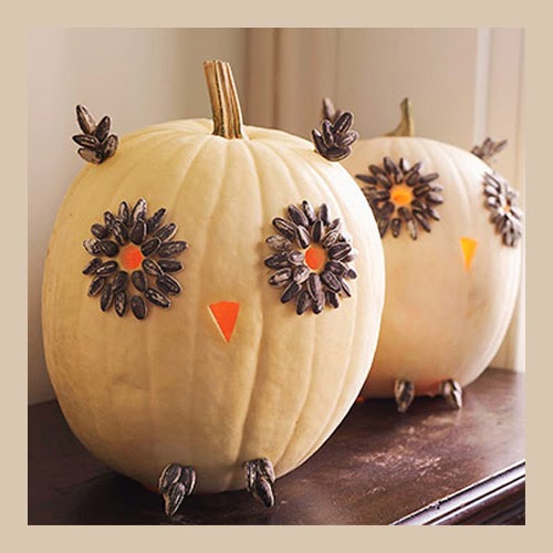 my-owl-barn-easy-owl-pumpkins-for-halloween