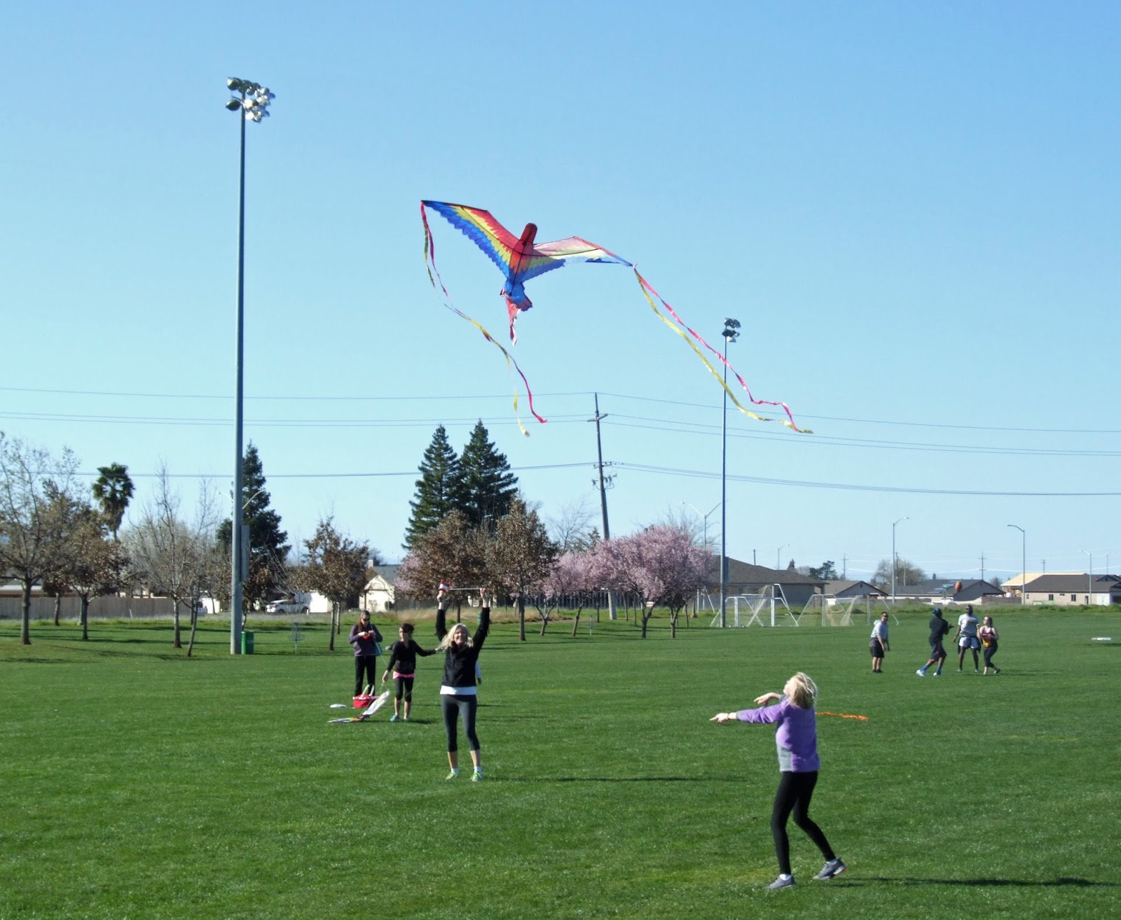 Tako Kichi (Kite Crazy) Coming Kite Events in the Chico Area