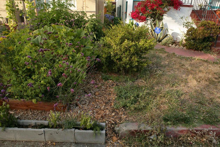 He Started With Some Boxes, 60 Days Later, The Neighbors Could Not Believe What He Built - A look at the neighbor’s lawn does not make a winning case in grass’ favor.