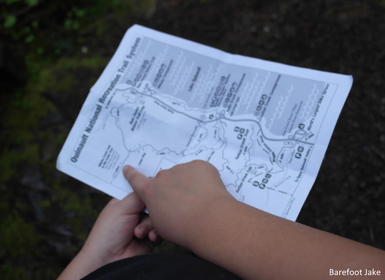 Quinault trail map