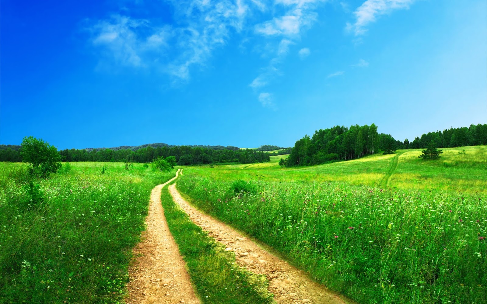 Uhd Wallpapers And 4k Desktop Backgrounds Free Download Beautiful