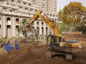 excavator moving a tree at Gudesi Temple