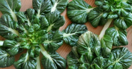 What Are Bitter Greens Vegetables 101