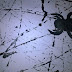 Araignée d'Halloween