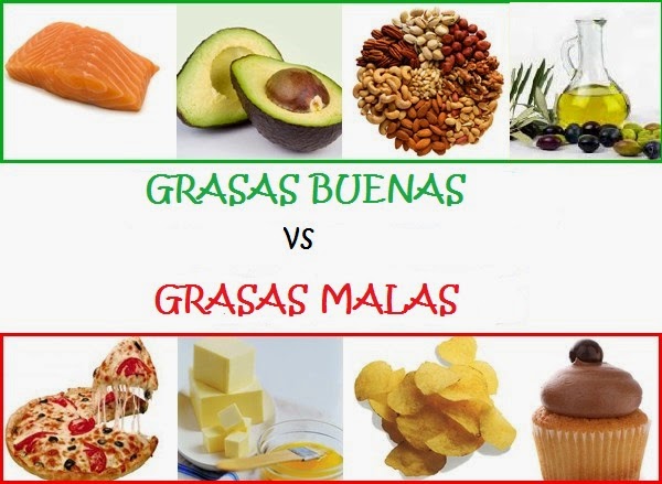 grasas buenas y malas