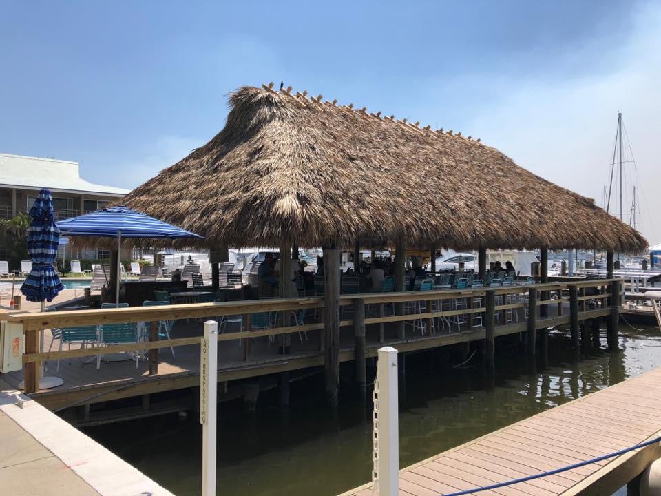 Cove Yacht Club Happenings