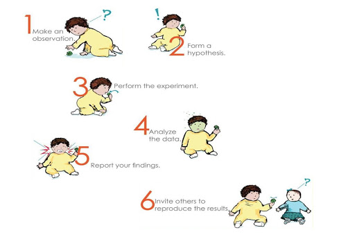 Babies and toddlers are born scientists and learn the scientific method from birth