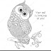 Best 15 Owl Drawings Coloring Pages Image
