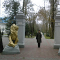 БиблиоЛента