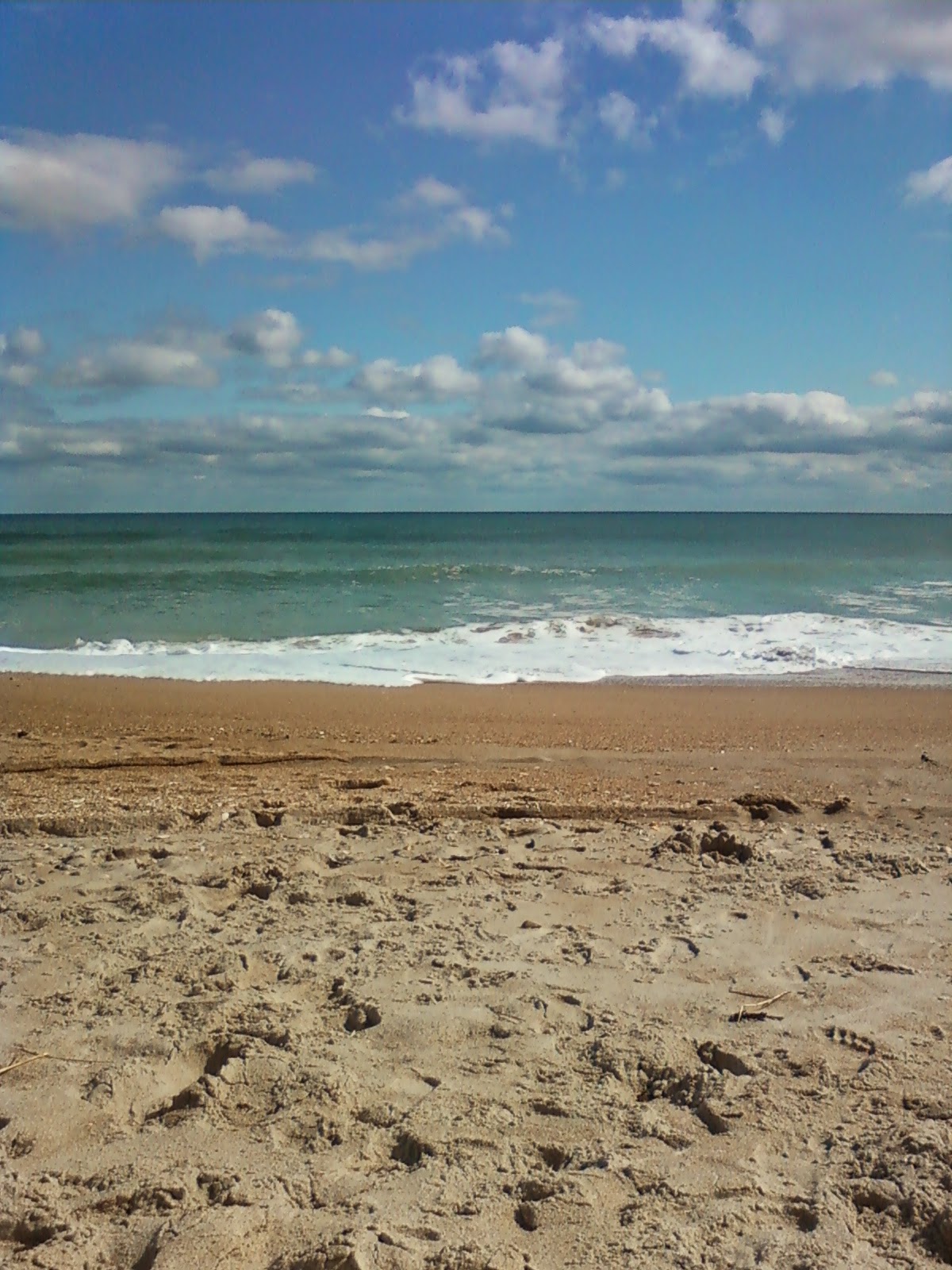 NC Day Trips A Guide to great fieldtrips in NC Beach Trips... Topsail Island...