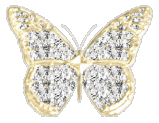 butterfly016.gif