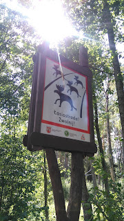 Łosiostrada, zwolnij - znak w Biebrzańskim Parku Narodowym