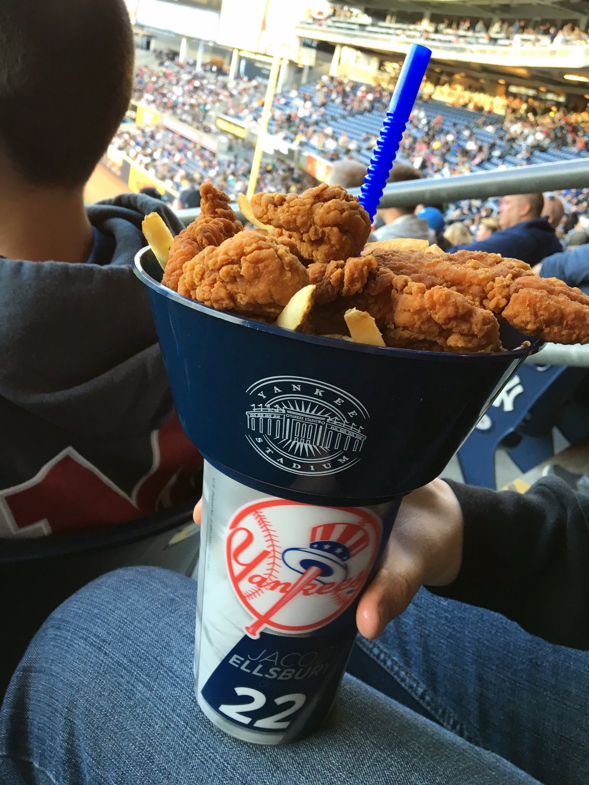 panda bytes Yankee Stadium
