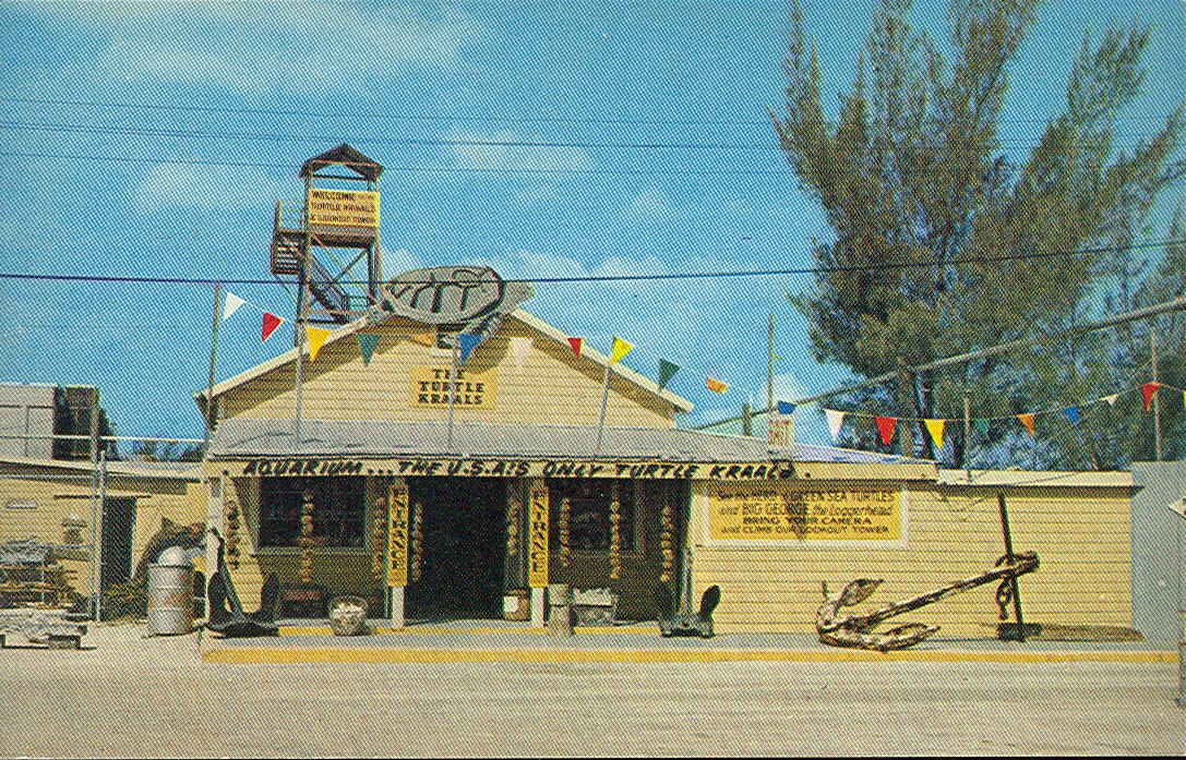 Vintage Travel Postcards Key West, Florida
