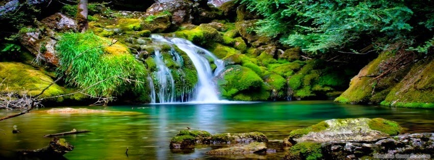 Imagenes Sorprendentes En La Naturaleza | 20 sorprendentes beneficios de la naturaleza en nuestra Imagenes Sorprendentes En La Naturaleza | 20 sorprendentes beneficios de la naturaleza en nuestra