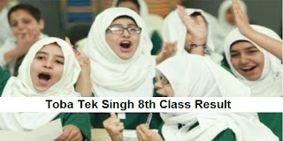 Toba Tek Singh 8th Class Result 2019 PEC - BISE Toba Tek Singh Board Results Announced