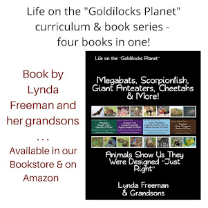 Life on the Goldilocks Planet