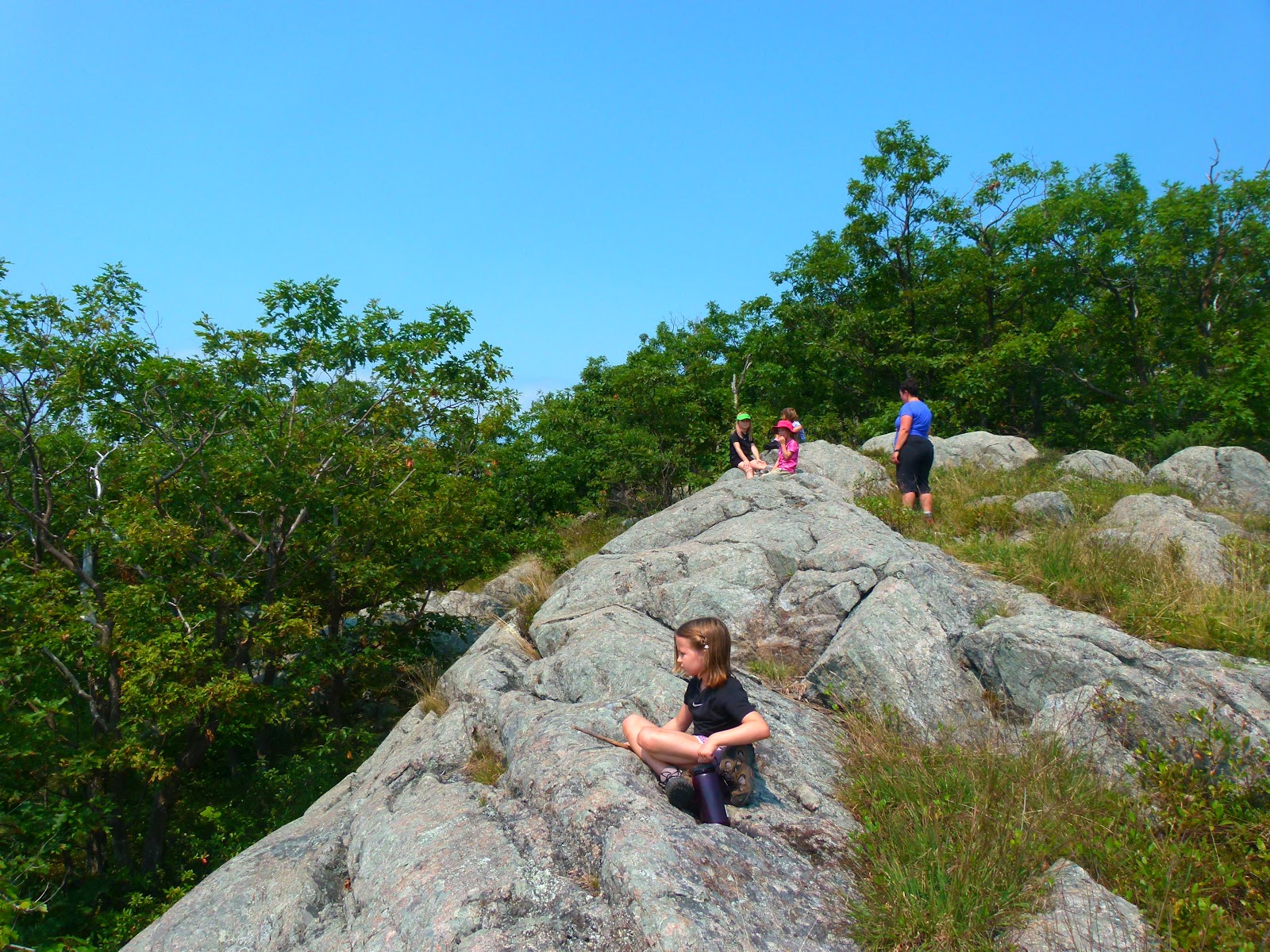 Trish, Alex, and Sage Tuesday Trip Report Bald Knob (Ossipee Range