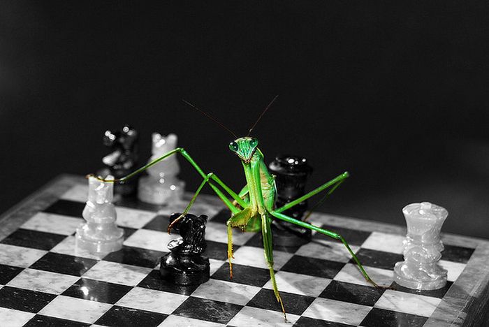 50 Beautiful Examples of Selective Color Photography - Cool Photography