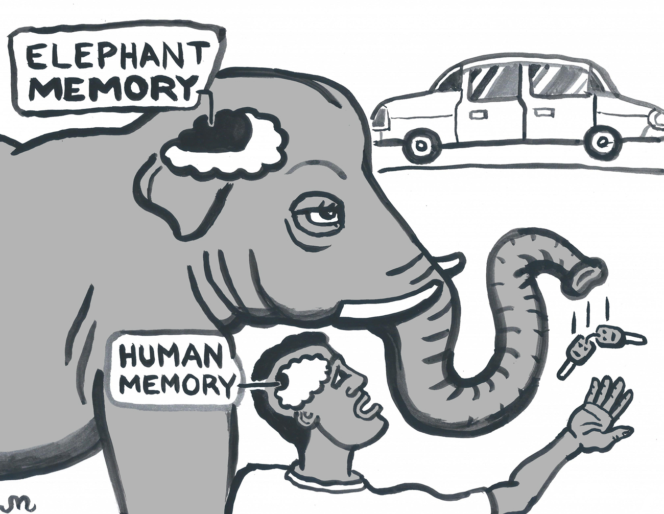 Do Elephants Their Car Keys?