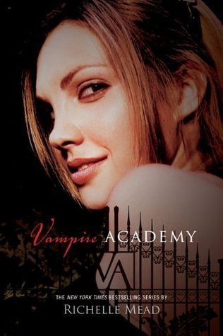 http://lisaundlaurahoch2.blogspot.de/2014/03/rezension-vampire-academy-von-richelle.html