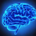 4 Memory Systems of the Brain and Dementia