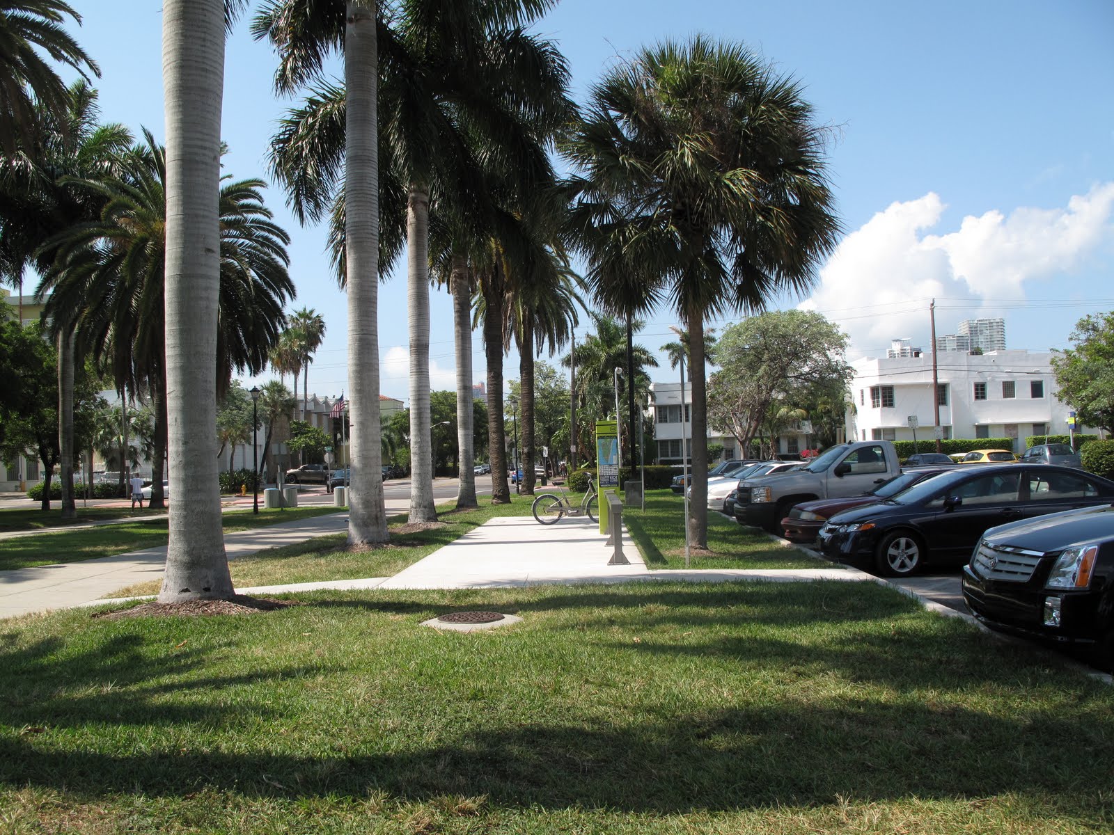 The Parks Department: Flamingo Park