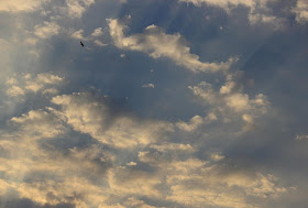 evening sky, clouds, bandra east, mumbai, india, rays, bird, skywatch, 