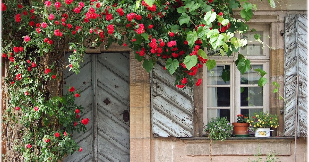 Augenblicke Fotografie: Das grüne Haus