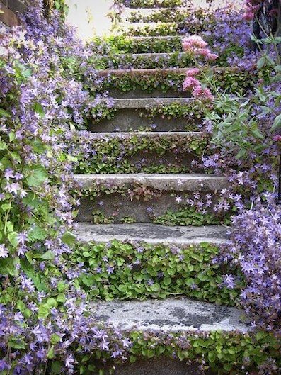 Escaliers fleuris