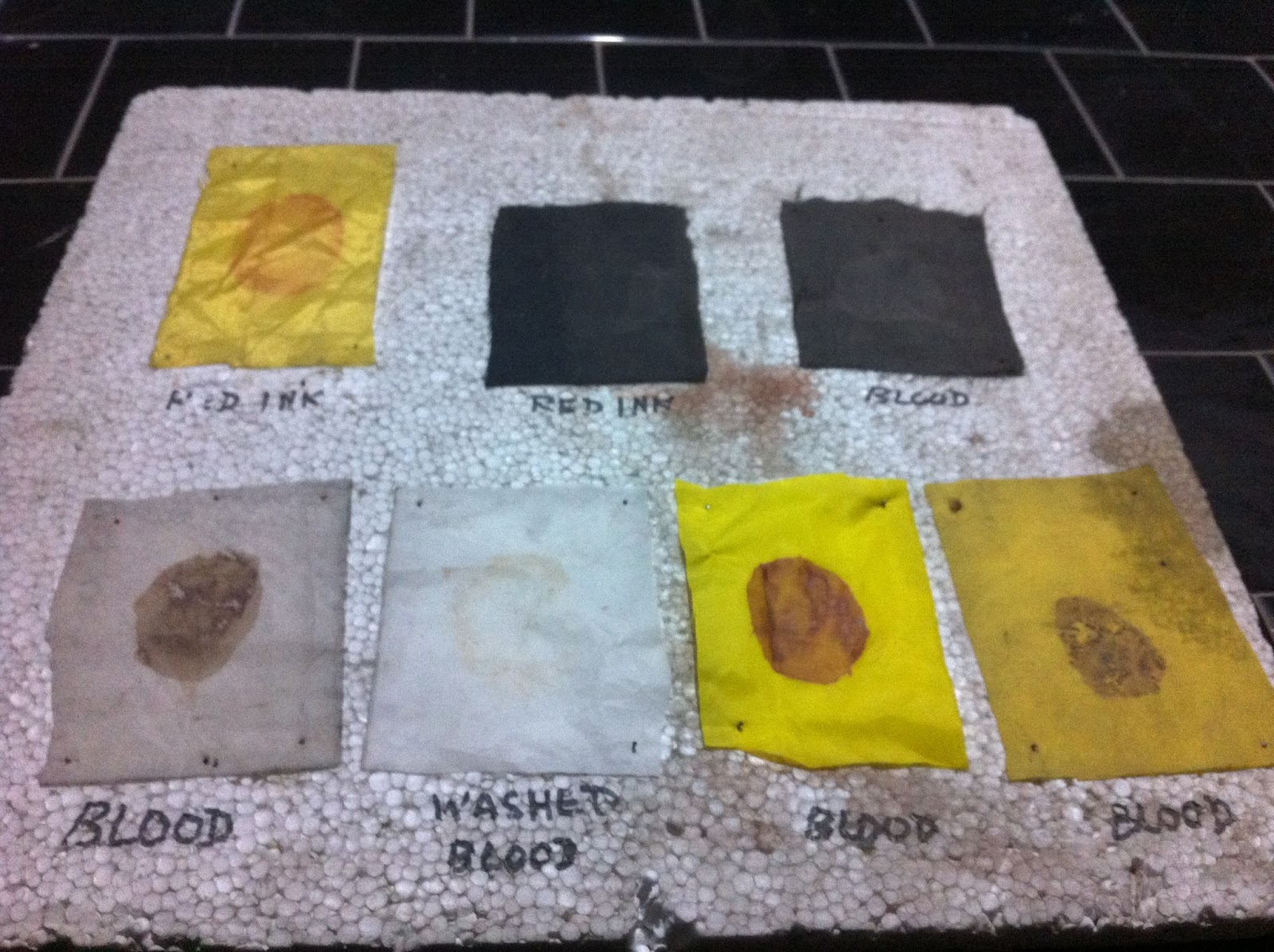 Forensic Biological Lab specimens/ Apparatus