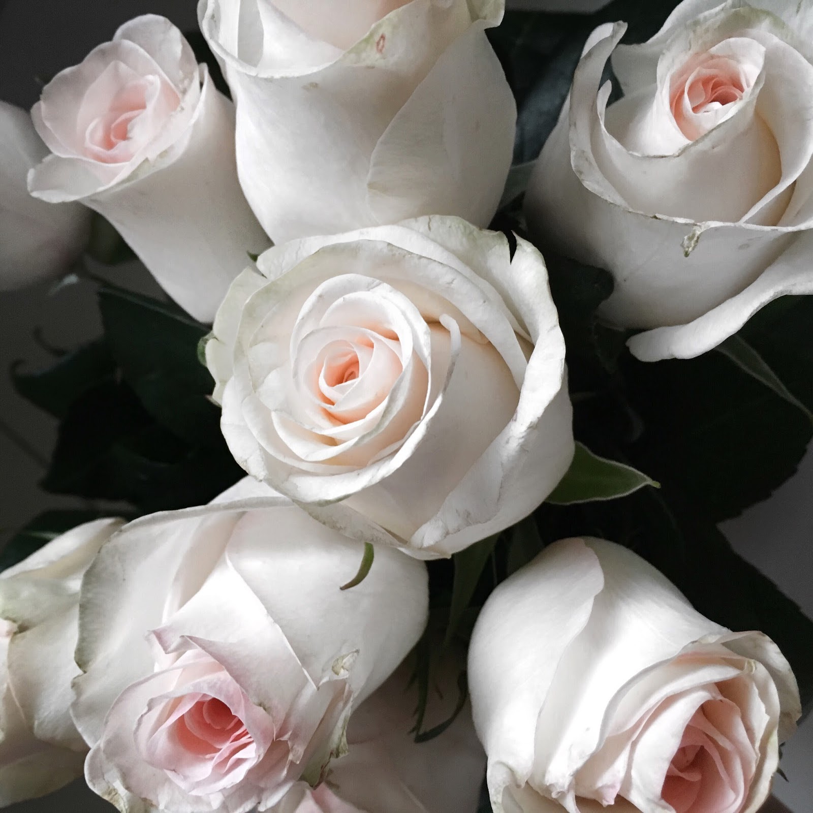 ☃ Where to get fresh cut flowers in Singapore