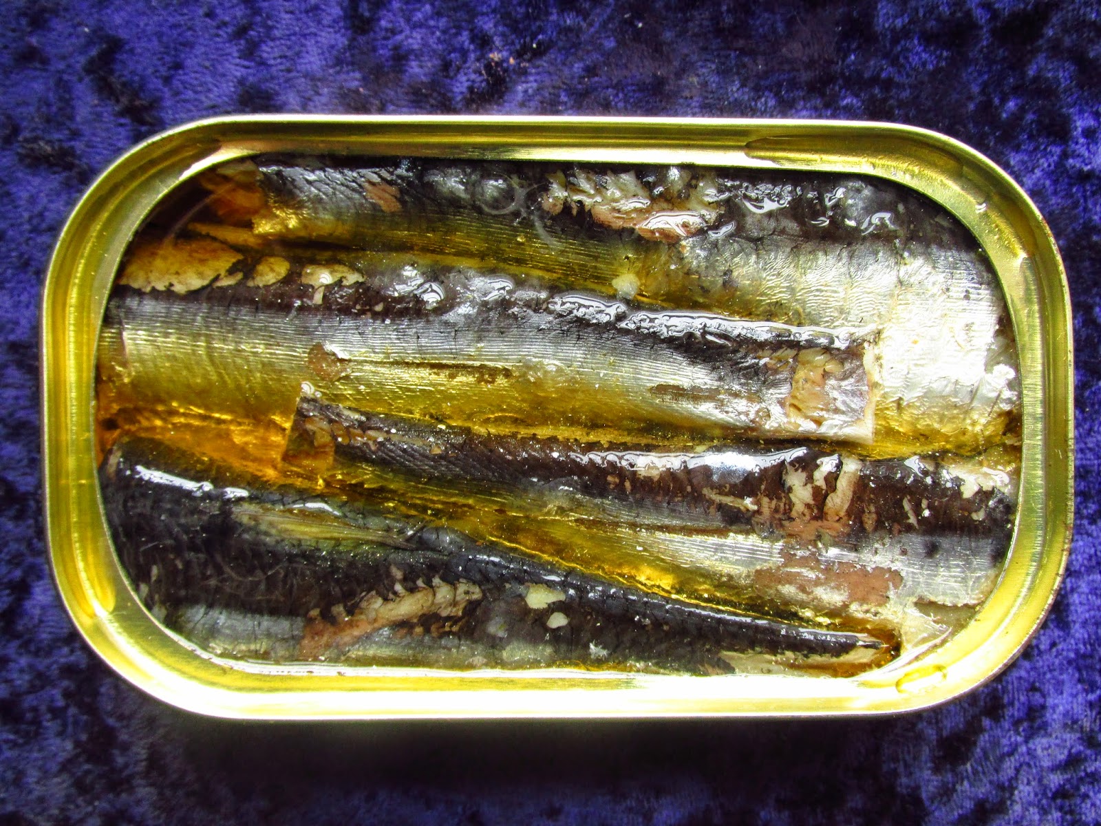 Mouth Full of Sardines Nuri 127