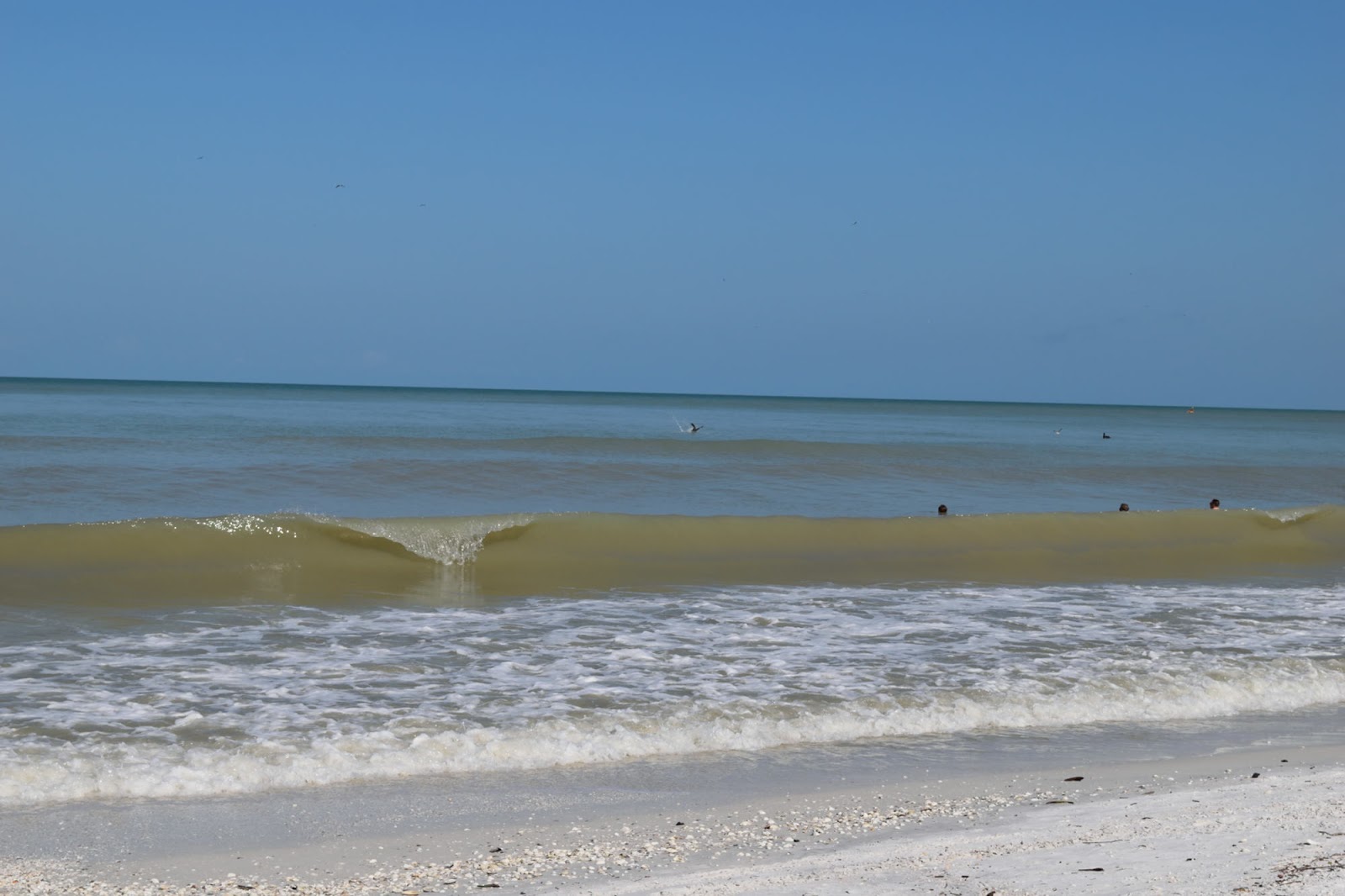 USA 2017 Florida Holiday A Day around Marco Island