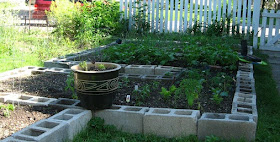 Happy Home: Build your own Concrete Block Raised Beds