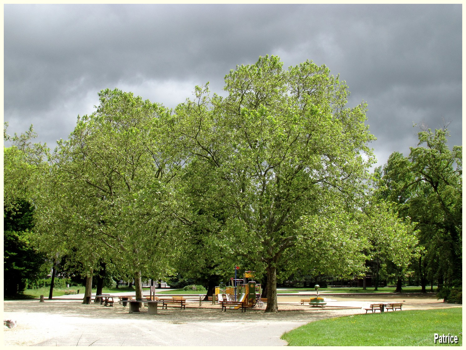 Blog Photos de Patrice Balade parc des Champs Elysées à Grenoble. Blog Photos de Patrice Balade parc des Champs Elysées à Grenoble.
