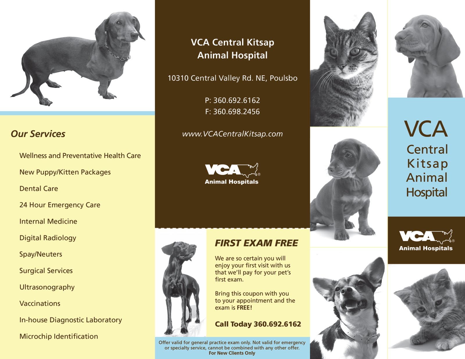 Urgent Animal Care Near Me All Things About Pets