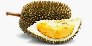 5 manfaat buah durian bagi tubuh