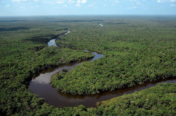 Geografia de Rondônia - clima, relevo, vegetação, economia, população -  InfoEscola