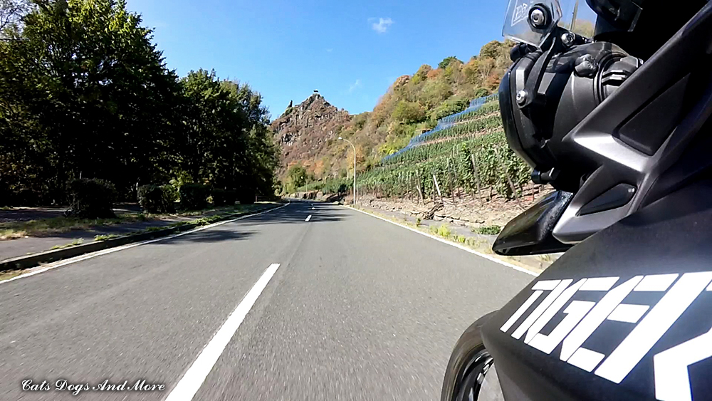 Die Schonsten Weinregionen Deutschlands Teil 1 Anbau