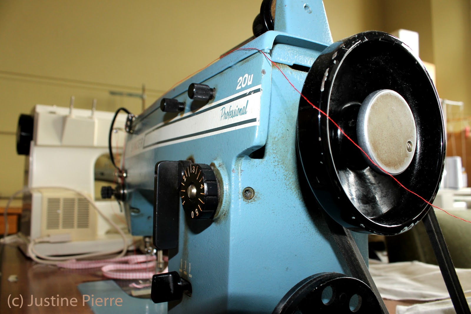 Creative Dunedin Jeonghee Shin