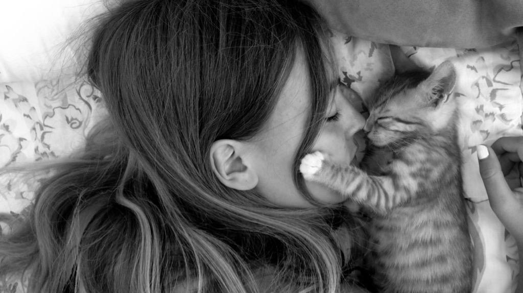 Salak Kedi CHARLİE� nin Mucizesi