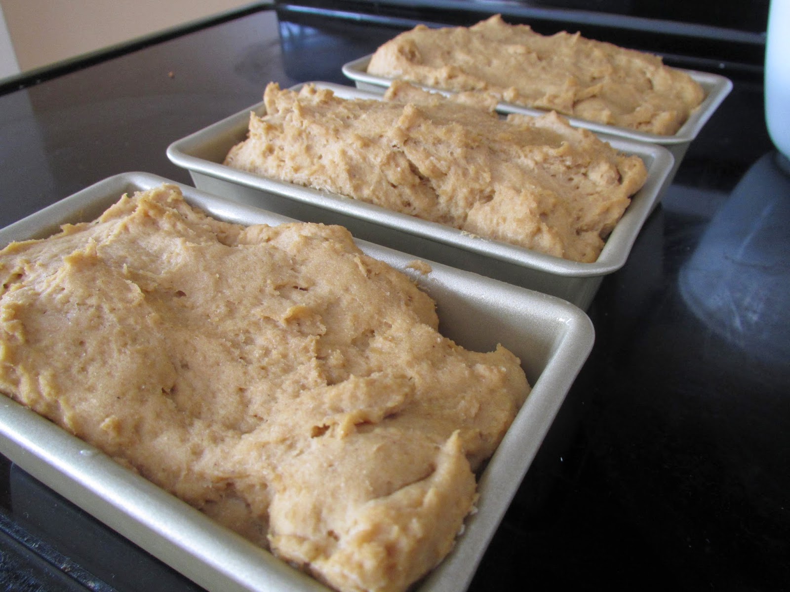 Successfully Gluten Free! GlutenFree Sandwich Bread Without a Mixer!